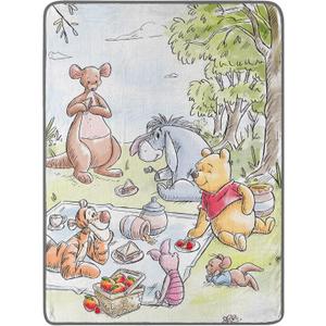 Northwest Winnie The Pooh Micro Raschel Throw Blanket, 46" x 60", Friend Picnic