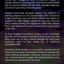 Guardians of the Amazon