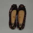 Women's Pepper Ballet Flat with Bow, Size 6