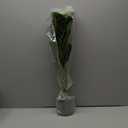 BESAMENATURE 30.5" Little Artificial Fiddle Leaf Fig Tree/Faux Ficus Lyrata for Home Office Decoration, Ships in Silvery Gray Planter