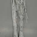 PEIDUO Easter Decorations, 2FT Birch Tree with LED Lights, Warm White Light up Tree Lamp, Easter Tree for Home Table Inside, Easter Decor Indoor, Battery Powered, Timer (2PK)