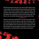 Rabbit in Red