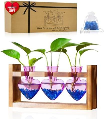 Nacome Plant Terrarium for Office Decor: Birthday Gifts for Plant Lovers Women Mom Wife - Wooden Stand Tabletop Planter 3 Bulb Glass Vase Heart Shaped for Hydroponics Indoor Home(Purple)