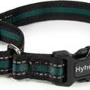 Hyhug Reflective Martingale Dog Collar with Buckle: Escape-Proof, No Slip Heavy Duty Nylon, Colorfast Adjustable Pet Supplies for Small Breeds (Reflective Green, Small)