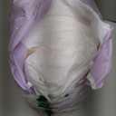 Rael Disposable Underwear for Women, Organic Cotton Cover - Postpartum Essentials, Leak Locker, Unscented, Maximum Coverage (Size L-XL, 20 Count)