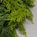 9FT Real Touch Norfolk Christmas Pine Garland, Lifelike Artificial Bendable Greenery Garland for Front Door, Mantle, Staircase, Windowsill Indoor Outdoor Christmas Decorations