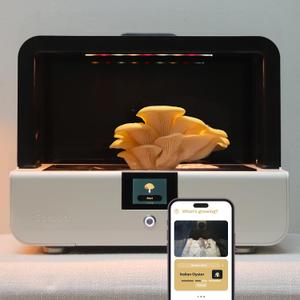 Smart Mushroom Growing Kit Harvest in 7 Days | Grow Lions Mane, Reishi & Rare Mushrooms You Can't Buy Anywhere Else | AI-Powered Humidity, O2 and Lighting + Timelapse Camera | Pearl White