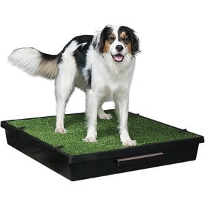 PetSafe Pet Loo Portable Dog Potty,Toilet Alternative for Puppy Pads, Perfect for House Training, Easy-to-Clean Grass Mat, Large