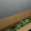 Artificial Ficus Tree Indoor 6ft, Large Potted Faux Tree with Realistic Silk Leaves & Trunk for Home Office, Living Room Corner Decor (White Green)