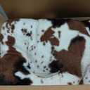 Crate Pad Soft Dog Bed Mat - Anti Slip Kennel Pad for Large Dogs