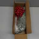 60 Pcs Artificial Christmas Snow Pine Branches with Red Berry Stems, Snowy Faux Greenery Norfolk Pine Cypress Leaves Stems, Berries White Frosted Fake Foliage Pine Needle Picks for Garland Home Decor