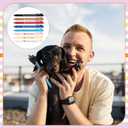 Sayglossy 48 Pcs Dachshund Theme Ballpoint Pens Novelty Gifts 8 Style Smooth Writing Pens for Teacher Student Gifts