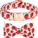 Lionheart Glory Dog Bow Collar - Dog Collar with Bowtie Soft Adjustable Dogs Spring Strawberry Flowers Print Collars Male Female Cute Collars for X-Small Dogs Bows
