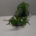 NSBELL 6 Ft Artificial Norfolk Pine Garlands, Real Touch Winter Pine Garland, Green Artificial Greenery Garland for Table, Mantle, Wall, Indoor, Outdoor Christmas Decorations