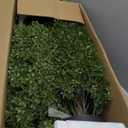 35inch Artificial Topiary Boxwood Tree, Faux Plants Outdoor 2 Packs Fake Bushes Faux Shrub, Artificial Topiary for Outdoors for Home Decor Indoor Front Porch