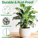 10 x 32" Plant Trellis, 6 Pack Metal Garden Trellis for Potted Plants Indoor/Outdoor, Rust-Proof Sturdy Steel Trellis for Climbing Plants, Monstera, Tomatoes, Cucumbers
