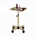 Salon Tray, Premium Metal Rolling Tray Cart, Tattoo Tray Height Adjustable, Dentist Tray Medical Tray Spa Service Rolling Tray,Champagne Gold