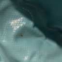 SLOOSH Foldable Dog Kiddie Pool - Portable Hard Plastic Doggie Swimming Pool, Anti-Slip Collapsible Pets Bath Tub Suitable for Kids Toddler Indoor Outdoor Backyard Use (Gray, 71" x 12")