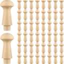50 Pcs Mini Shaker Pegs Wooden Hooks Wall Mounted, Smooth Texture Wood Pegs for Hanging Coat Hat Towel Clothes Wall Organizing Supplies, 0.98 x 0.43 Inch