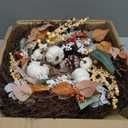 20 Inch Thanksgiving Fall Wreath for Front Door with Light Porch Window Autumn Wreaths with Pumpkin Berries All Season Indoor Outdoor Window Decor for Harvest Holiday Celebrations