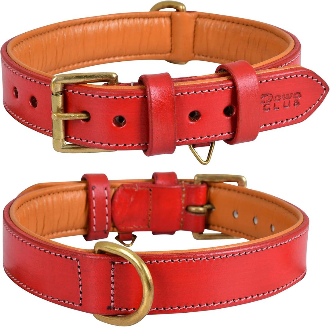 Genuine Leather Dog Collar | Full Grain, Heavy Duty, Comfortable, Padded, Strong | Best for Pups, Small, Breeds (Small (Fit Neck Size 11.5"-14.5"), Red)