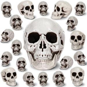 Aoriher 20 Pieces Halloween Skull Plastic Realistic Looking Skeleton Skull Human Skeleton Head Fake Decor Miniatures for Crafts Halloween Decorations for Home Table Bar Decor, 3 Sizes(Large) Aoriher 20 Pieces Halloween Skull Plastic Realistic Looking Skeleton Skull Human Skeleton Head Fake Decor Miniatures for Crafts Halloween Decorations for Home Table Bar Decor, 3 Sizes(Large)