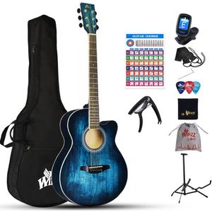 Winzz Acoustic Steel-string Guitar Beginner for Adults Students, Elegant Unique Color Design (vintage blue)