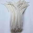 Sowder Off White Rooster Coque Tail Feathers 16-18inch Lengh Pack of 20