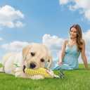 2 Pack Corn Dog Chew Toys for Small Dog Toys & Puppy Toys Durable Dog Toys for Teething, Puppy Teething Toys with Squeaker, Dog Toys to Keep Them Busy, Chew Toys for Dogs