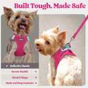 Rabbitgoo Dog Harness Small Sized and Leash Set, Step in Soft Light Puppy Vest, Breathable Mesh Pet Harness, Reflective for Safe Easy Walking, Rose Red, XXS