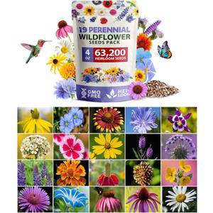 HOME GROWN Wildflower Seeds Bulk 4 oz 63,200+ Seeds 19 Varieties Non-GMO Perennial Mix, Butterfly & Pollinator Flower Seeds, Attract Bees, Birds & Hummingbirds, Outdoor Planting