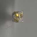 uxcell 8Pcs Brass Decorative Screws with Caps, 12 mm Mirror Screws Cap Cover Nails Fasteners for Decorative Mirror Furniture, Gold