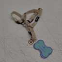 PUPTECK No Pull Dog Harness Soft Adjustable Basic Nylon Step in Puppy Vest Outdoor Walking with ID Tag, Cream, XS