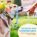No-Pull Dog Head Collar, Print Head Halter Collar for Dogs, Gentle Lead to Stop Heavy Pulling, Anti-Pull Training Muzzle Leash for Easy Control on Walks (Blue, Small)