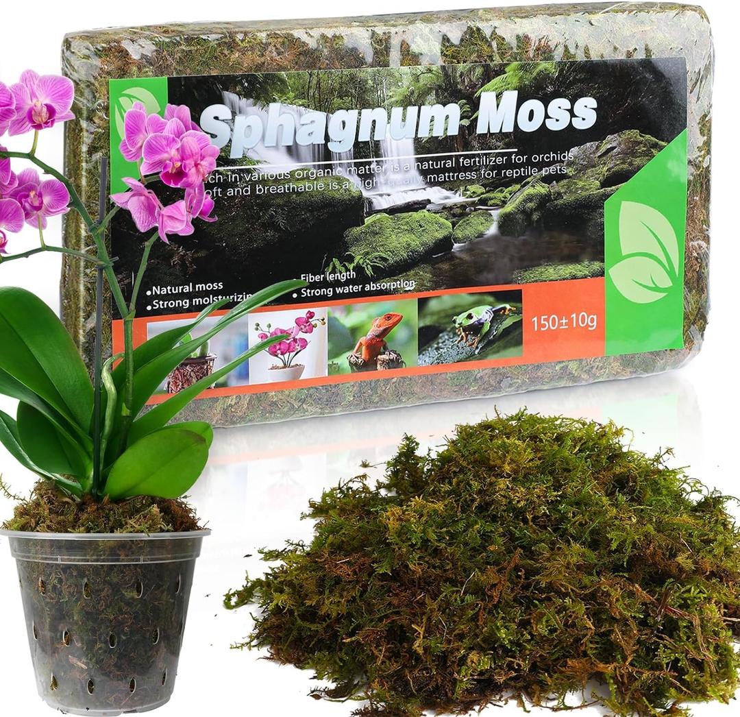 2 x Doter Dried Forest Moss for Plants (5 qt / 1 Pack), Sphagnum Potting Moss for Various Plants, Including Orchids, Carnivorous Plants, Succulents, Garden Flowers, and Reptiles