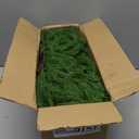 Senjie Christmas Garland Norfolk Pine Garland Real Touch Artificial Greenery Garland for Mantle Fireplace Table Indoor Outdoor Holiday Decortions 6FT 2PCS (6 ft (1 Pack- Young ))