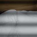 MIULEE Throw Pillows Inserts, Pack of 4 24x24 Inch 100% Virgin Fiber Filling Bed Couch Pillows