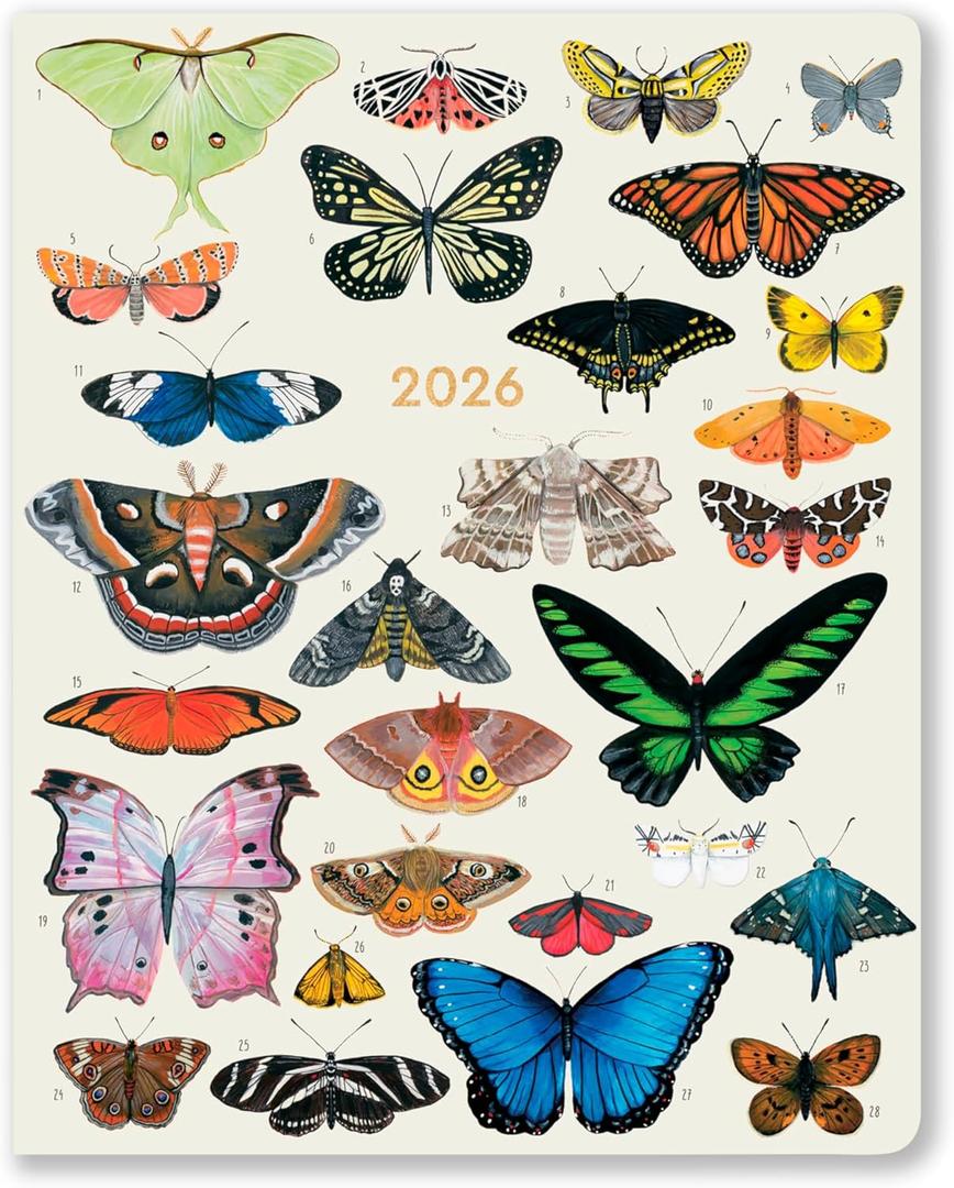 High Note 2026 Monthly Planner, 17-Month Calendar Book with Flexible Softcover, Aug 2025 to Dec 2026 Planner with Goals and Project Pages, 7.75" x 9.75" Orders of The Animals