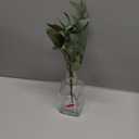 14in Sage Leaf Stem In Smooth Vase