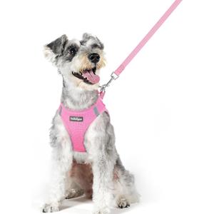 rabbitgoo Dog Harness and Leash Set, Step in Soft Light Puppy Vest, Breathable Mesh Pet Harness, Reflective for Safe Easy Walking, Light Pink XL