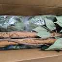 6.2ft Ficus Artificial Trees with 3 Natural Curved Trunks, 74" Tall Lush Faux Tree for Home Decor Indoor, Green Lifelike Fake Ficus Tree Artificial Plants