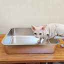 IKITCHEN Stainless Steel Cat Litter Box, Large Metal Litter Pan for Cats, Kitty Litter Box Never Absorbs Odors, Low Side Entry Non Stick, Easy Clean 17.5 x 13.5 x 4 inches