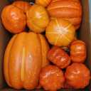 Ywlake 16 Pcs Pumpkin Fall Decorations, Decorative Large Small Outdoor Orange Foam Plastic Fake Faux Artificial Pumpkins for Halloween Autumn Harvest Festival Home Table Decor