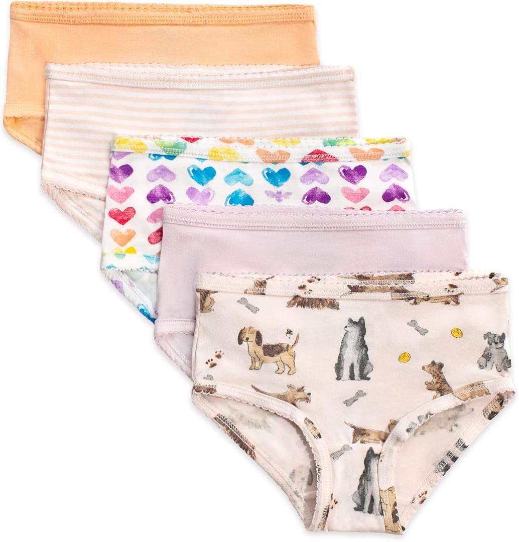 Burt's Bees Baby Toddler Girls' Underwear Set of 5 - Solids, Stripes,Prints, Tag-Free with Sizes for 2T- 3T 