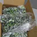 Sggvecsy Artificial Eucalyptus Garland 6 Pack Fake Eucalyptus Greenery Garland Faux Hanging Plants Artificial Vines, 5.6 Feet/Strand for Wedding Backdrop Arch Wall Table Party Outdoor Festival Decor