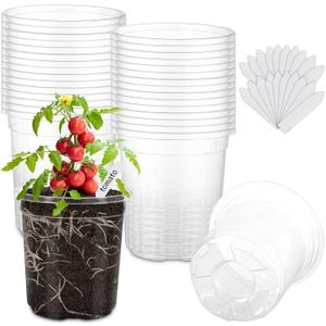 30 Packs 5 Inch Reinforced Clear Nursery Pots for Plants with Drainage Holes, High Transparency Plastic Seedling Plant Pot with 20 Labels