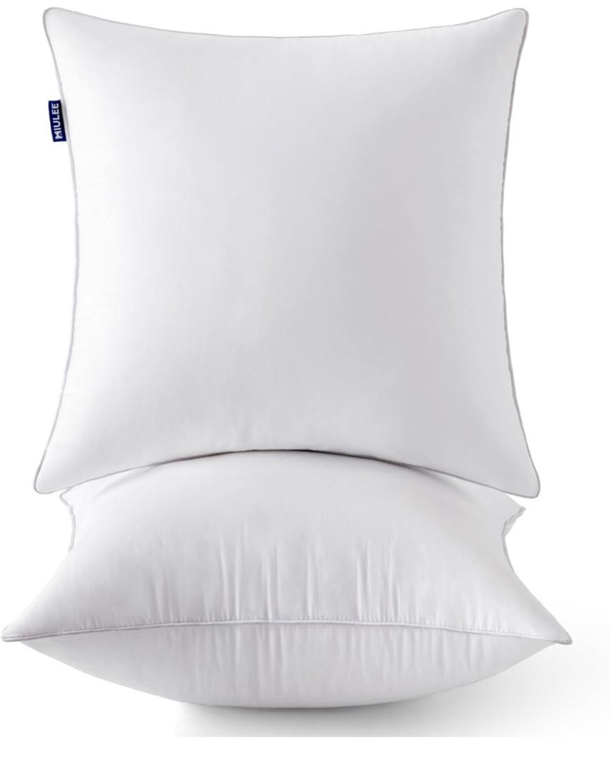 MIULEE 20 x 20 Pillow Inserts (Set of 2) -Throw Pillows for Couch Sofa.one is cut