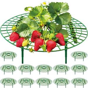 12 Pack Strawberry Supports, strawberry holder plants live for planting,Strawberry Growing Frame, Strawberry Trellis for Keeping Fruit Elevated to Avoid Ground Rot (green-12 pack)