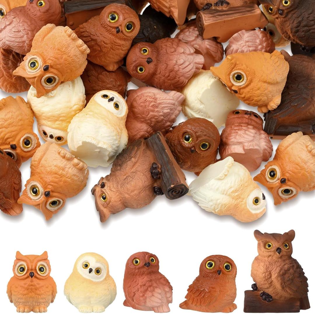 Wesiti 40 Pcs Resin Mini Owl Figurines Owl Miniature Figurines Bulk Mini Resin Statues for Summer Miniature Garden Accessories Micro Landscape Plant Pots Bonsai Fairy Decorations(Cute Style)