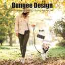 BUMBIN 6Ft Dog Leash, Bungee Dog Leash with 2 Handles, Heavy Duty Leashes for Medium Small Dogs, No Pull Shock Absorbing with Car Seat Belt for Training, Green